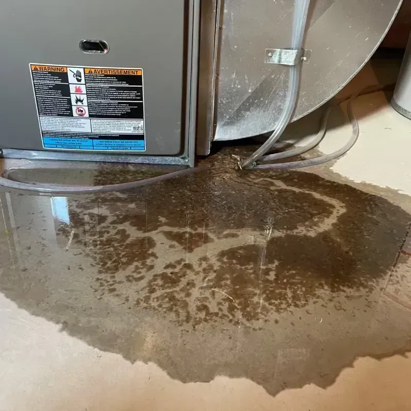 Appliance Leak Cleanup in Star Valley, AZ